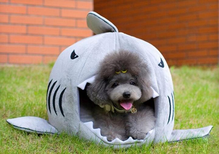 Cama para perros pequeños con forma de tiburón