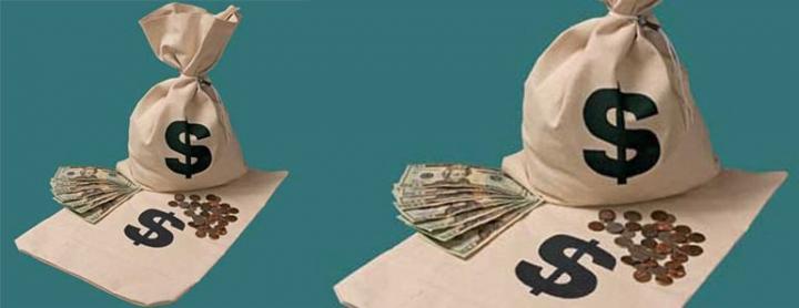 Sacos para guardar el dinero